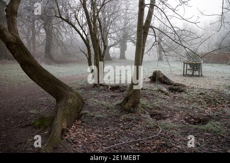 Priory Park an einem frostigen Wintertag, Warwick,`s Stockfoto